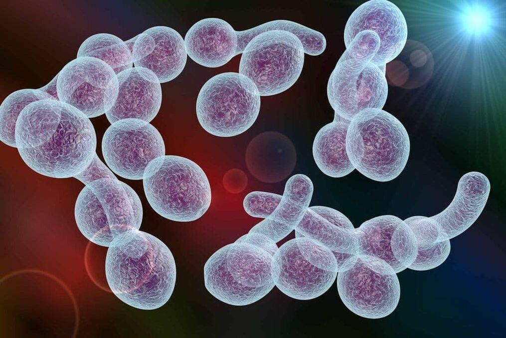 O axente causante da prostatite bacteriana nos homes